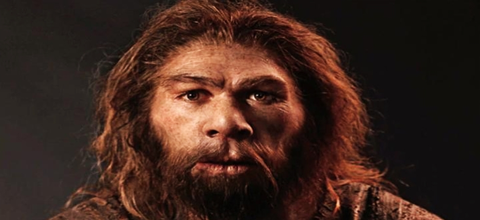 Climate change, Ice cold temperatures behind extinction of Neanderthals ...